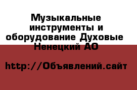 Музыкальные инструменты и оборудование Духовые. Ненецкий АО